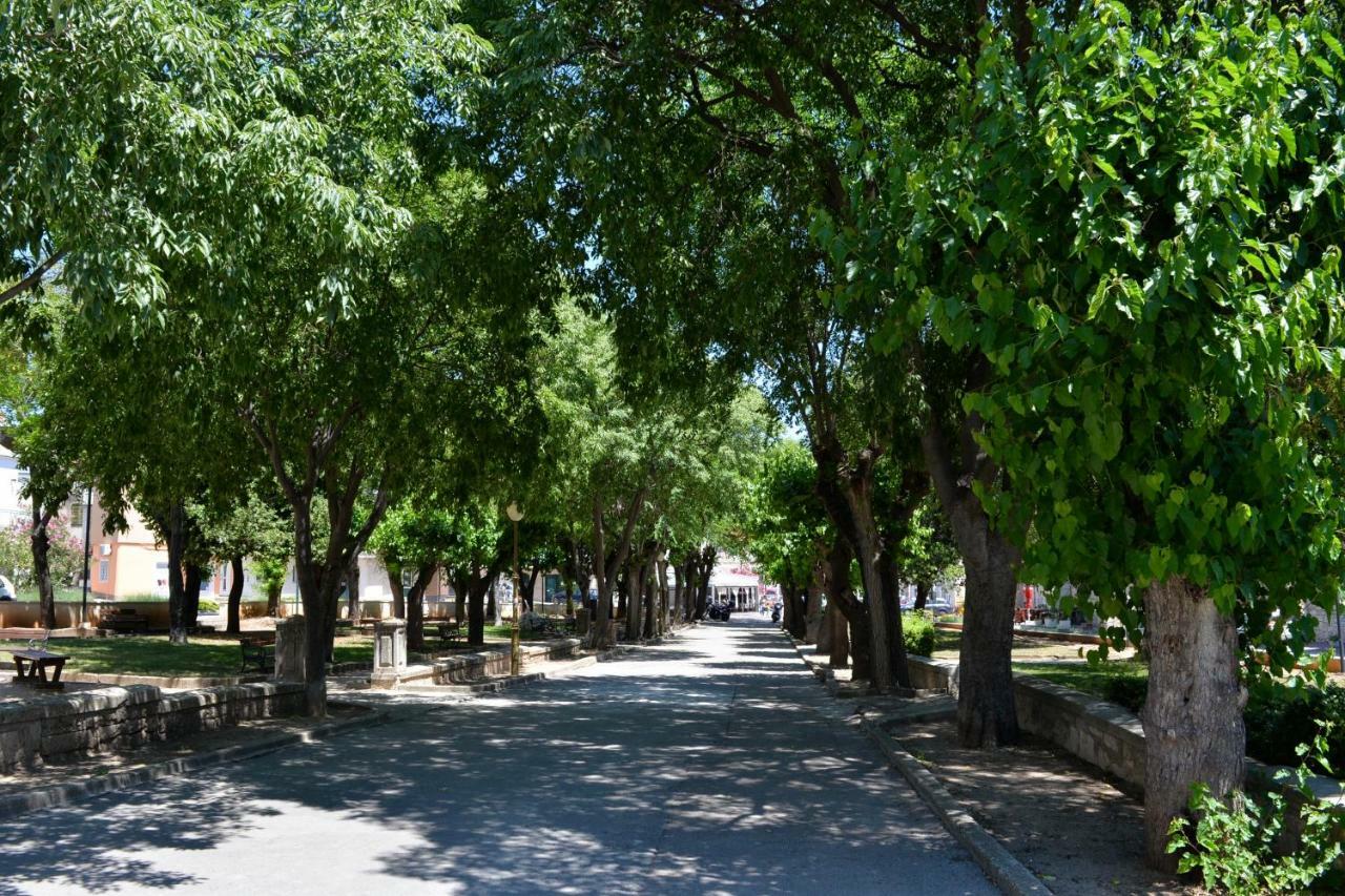 Iva Apartmani Vodice Exteriör bild
